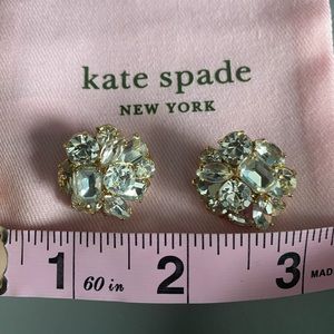 Kate Spade Earrings